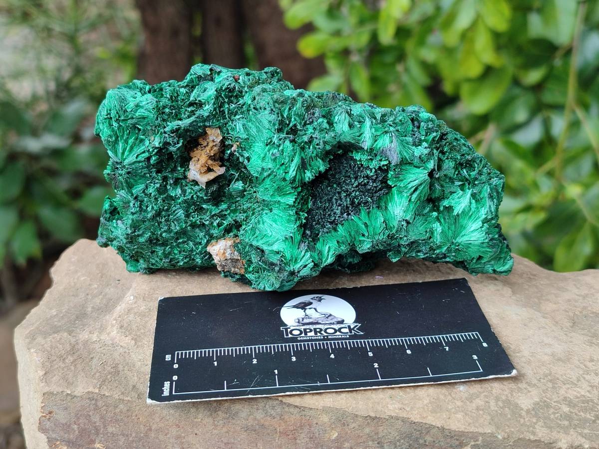 Natural Silky Malachite Specimens x 3 From Kasompe, Congo - Toprock Gemstones and Minerals 