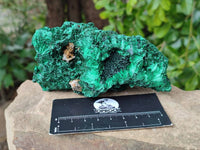 Natural Silky Malachite Specimens x 3 From Kasompe, Congo