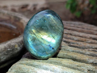 Polished Purple Flash Labradorite Galets x 12 From Tulear, Madagascar