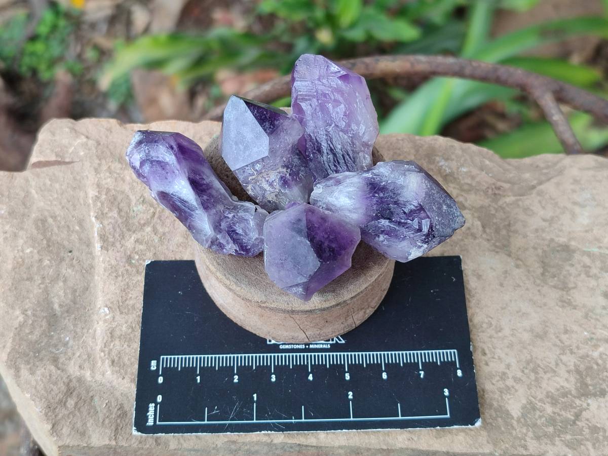 Natural Mini Chevron Amethyst Crystals x 70 From Zambia - Toprock Gemstones and Minerals 