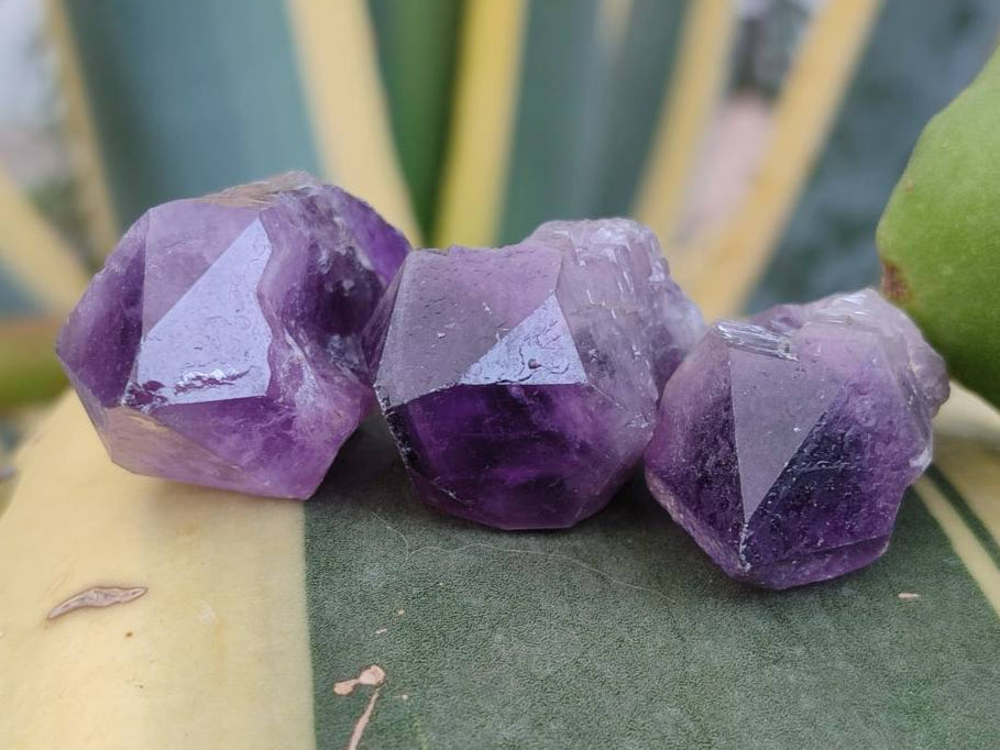 Natural Mini Chevron Amethyst Crystals x 70 From Zambia - Toprock Gemstones and Minerals 