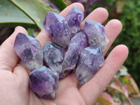 Natural Mini Chevron Amethyst Crystals x 70 From Zambia