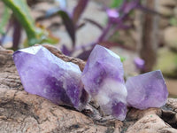 Natural Mini Chevron Amethyst Crystals x 70 From Zambia