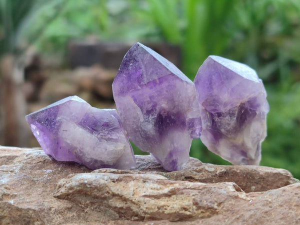 Natural Mini Chevron Amethyst Crystals x 70 From Zambia