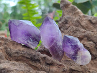 Natural Mini Chevron Amethyst Crystals x 70 From Zambia
