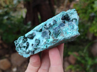 Natural Drusy Coated Chrysocolla With Crystalline Malachite Specimens x 2 From Lupoto, Congo