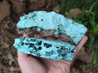 Natural Drusy Coated Chrysocolla With Crystalline Malachite Specimens x 2 From Lupoto, Congo
