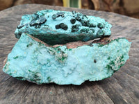 Natural Drusy Coated Chrysocolla With Crystalline Malachite Specimens x 2 From Lupoto, Congo