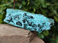 Natural Drusy Coated Chrysocolla With Crystalline Malachite Specimens x 2 From Lupoto, Congo