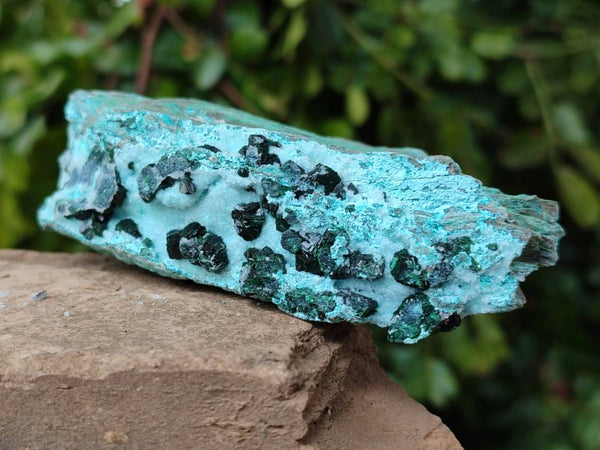 Natural Drusy Coated Chrysocolla With Crystalline Malachite Specimens x 2 From Lupoto, Congo