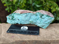 Natural Drusy Coated Chrysocolla With Crystalline Malachite Specimens x 2 From Lupoto, Congo