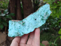 Natural Drusy Coated Chrysocolla With Crystalline Malachite Specimens x 2 From Lupoto, Congo