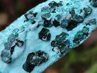 Natural Drusy Coated Chrysocolla With Crystalline Malachite Specimens x 2 From Lupoto, Congo