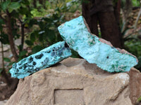 Natural Drusy Coated Chrysocolla With Crystalline Malachite Specimens x 2 From Lupoto, Congo