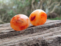 Polished Carnelian Agate Gemstone Galets x 35 From Madagascar