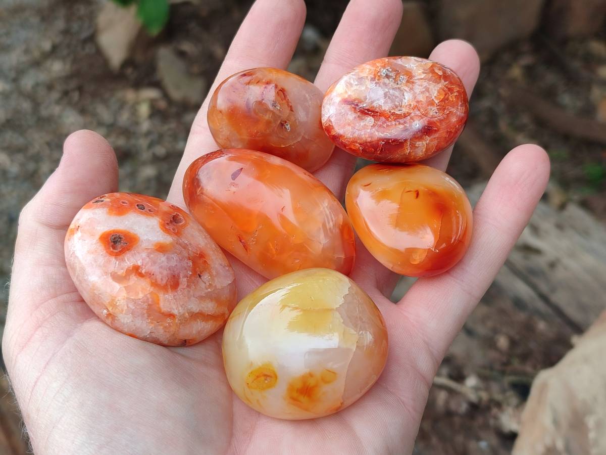 Polished Carnelian Agate Gemstone Galets x 35 From Madagascar - Toprock Gemstones and Minerals 
