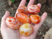 Polished Carnelian Agate Gemstone Galets x 35 From Madagascar