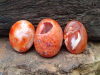 Polished Carnelian Agate Gemstone Galets x 35 From Madagascar