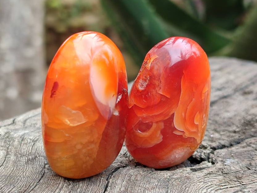 Polished Carnelian Agate Gemstone Galets x 35 From Madagascar - Toprock Gemstones and Minerals 