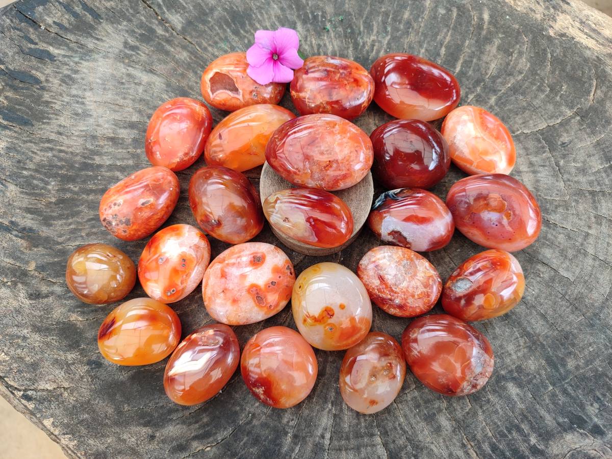 Polished Carnelian Agate Gemstone Galets x 35 From Madagascar - Toprock Gemstones and Minerals 