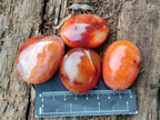 Polished Carnelian Agate Gemstone Galets x 35 From Madagascar - Toprock Gemstones and Minerals 