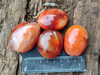 Polished Carnelian Agate Gemstone Galets x 35 From Madagascar