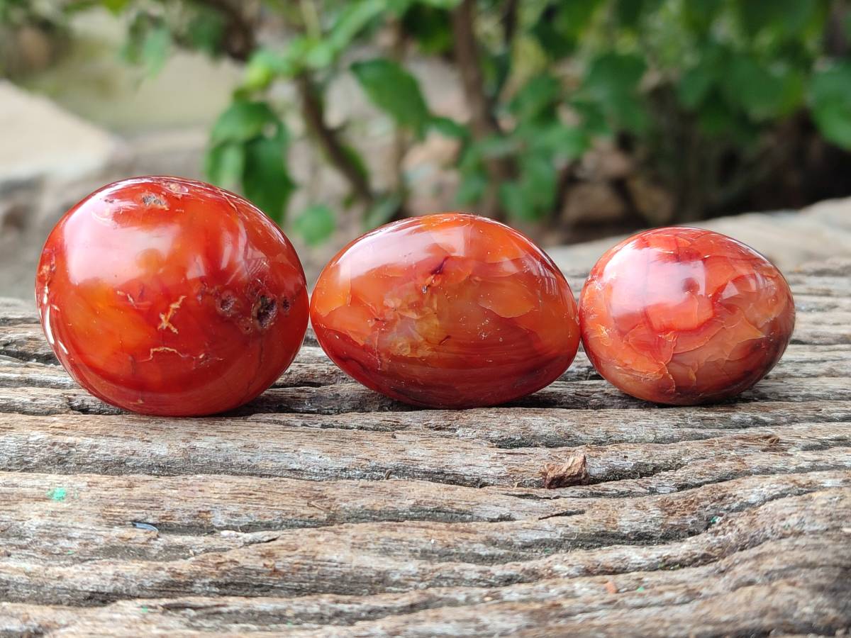 Polished Carnelian Agate Gemstone Galets x 35 From Madagascar - Toprock Gemstones and Minerals 