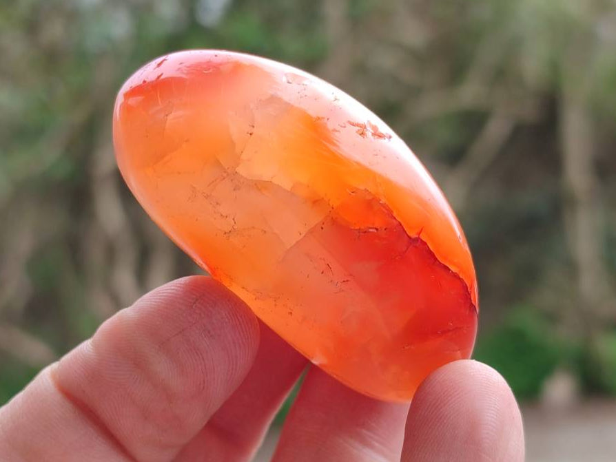 Polished Carnelian Agate Gemstone Galets x 35 From Madagascar - Toprock Gemstones and Minerals 