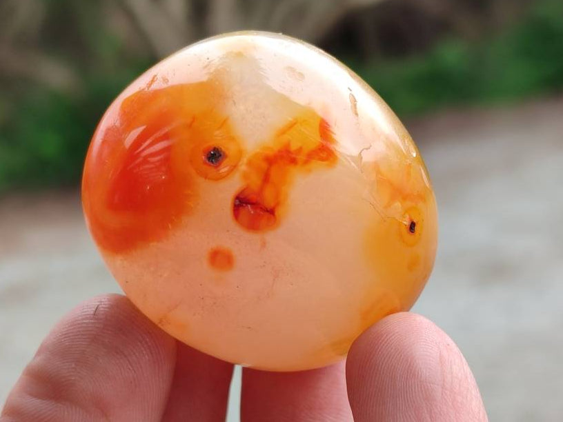 Polished Carnelian Agate Gemstone Galets x 35 From Madagascar - Toprock Gemstones and Minerals 