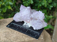 Natural Cactus Flower Sunburst Spirit Amethyst Clusters x 6 From Boekenhouthoek, South Africa