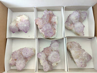 Natural Cactus Flower Sunburst Spirit Amethyst Clusters x 6 From Boekenhouthoek, South Africa