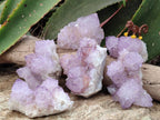 Natural Cactus Flower Sunburst Spirit Amethyst Clusters x 6 From Boekenhouthoek, South Africa - Toprock Gemstones and Minerals 