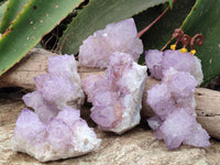 Natural Cactus Flower Sunburst Spirit Amethyst Clusters x 6 From Boekenhouthoek, South Africa