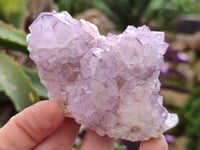 Natural Cactus Flower Sunburst Spirit Amethyst Clusters x 6 From Boekenhouthoek, South Africa