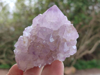Natural Cactus Flower Sunburst Spirit Amethyst Clusters x 6 From Boekenhouthoek, South Africa