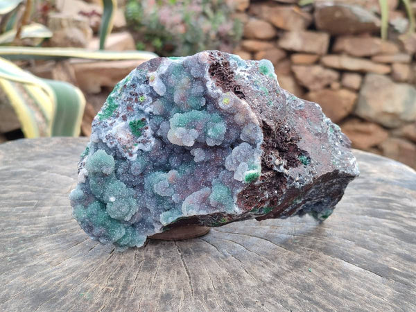 Natural Drusy Ball Malachite On Dolomite Matrix Specimen x 1 From Mindingi Mine, Kambove, Congo