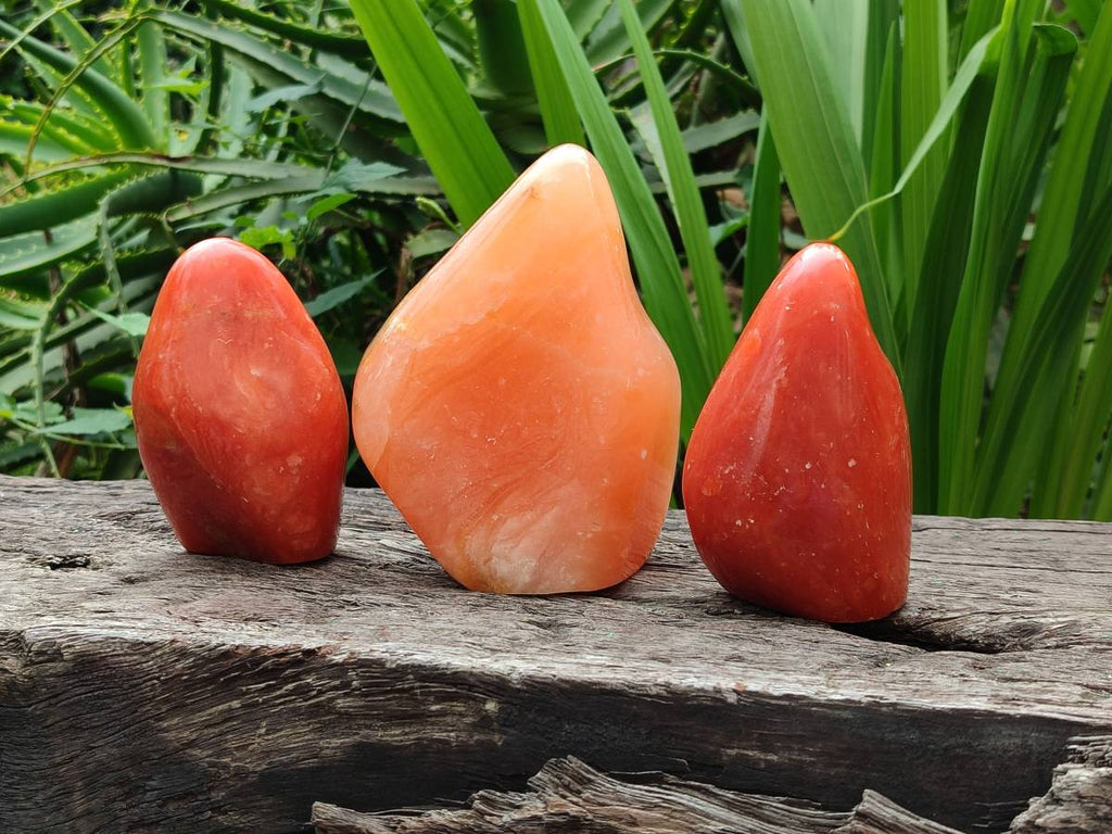 Polished Orange Calcite Standing Free Forms x 3 From Madagascar - Toprock Gemstones and Minerals 