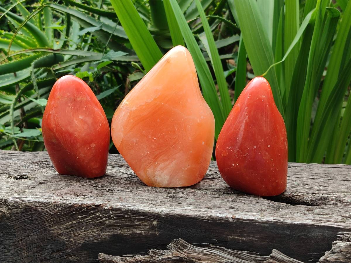 Polished Orange Calcite Standing Free Forms x 3 From Madagascar - Toprock Gemstones and Minerals 