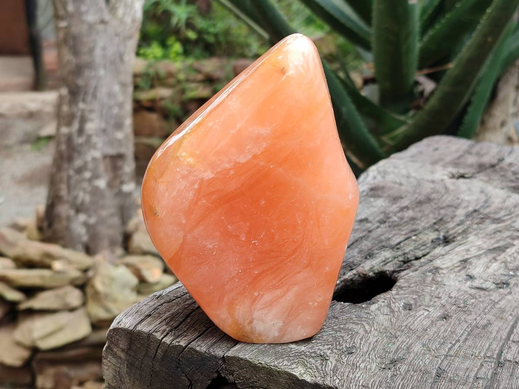 Polished Orange Calcite Standing Free Forms x 3 From Madagascar - Toprock Gemstones and Minerals 