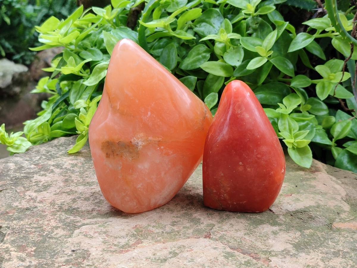 Polished Orange Calcite Standing Free Forms x 3 From Madagascar - Toprock Gemstones and Minerals 