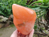 Polished Orange Calcite Standing Free Forms x 3 From Madagascar