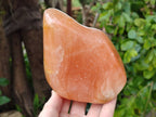 Polished Orange Calcite Standing Free Forms x 3 From Madagascar - Toprock Gemstones and Minerals 