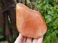 Polished Orange Calcite Standing Free Forms x 3 From Madagascar
