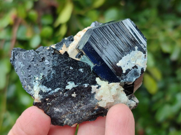 Natural Schorl Black Tourmaline Specimens With Associated Minerals x 6 From Erongo, Namibia