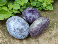 Polished Lepidolite With Rubellite Pink Tourmaline Galets x 12 From Madagascar