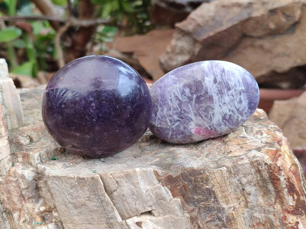 Polished Lepidolite With Rubellite Pink Tourmaline Galets x 12 From Madagascar - Toprock Gemstones and Minerals 