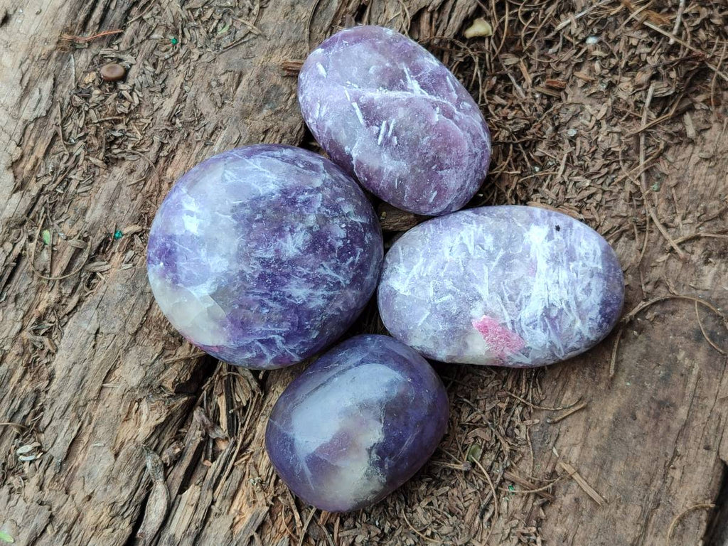 Polished Lepidolite With Rubellite Pink Tourmaline Galets x 12 From Madagascar - Toprock Gemstones and Minerals 