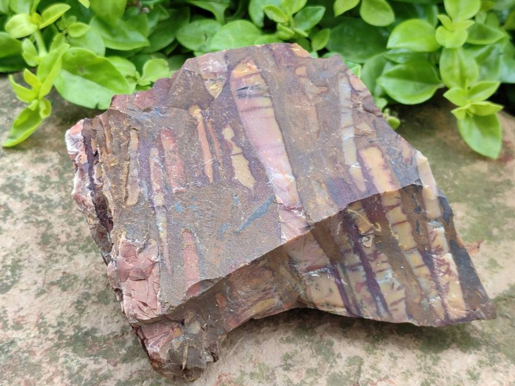 Natural Nguni Jasper Cobbed Specimens x 5 From Northern Cape, South Africa - Toprock Gemstones and Minerals 