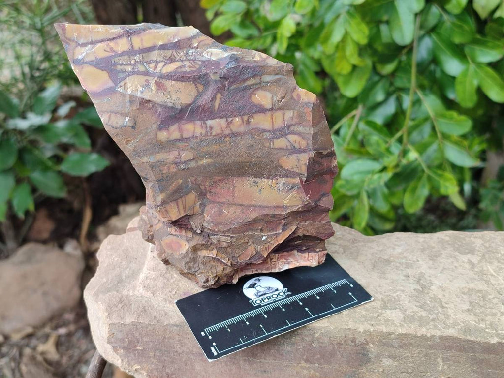 Natural Nguni Jasper Cobbed Specimens x 5 From Northern Cape, South Africa - Toprock Gemstones and Minerals 