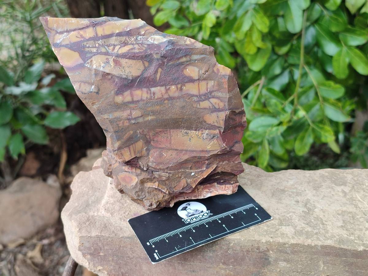 Natural Nguni Jasper Cobbed Specimens x 5 From Northern Cape, South Africa - Toprock Gemstones and Minerals 